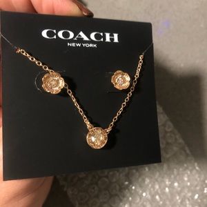 Rose Gold necklace and earrings